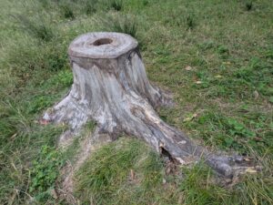 プチリフォーム