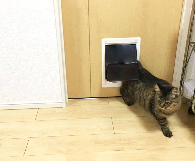 リフォーム