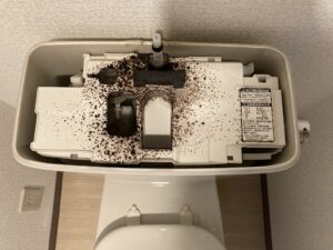 トイレパッキンの水漏れ